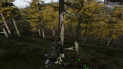 ArmA2 Predator