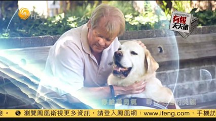 20141017 有报天天读 朝鲜民众思念金正恩：想的睡不着觉