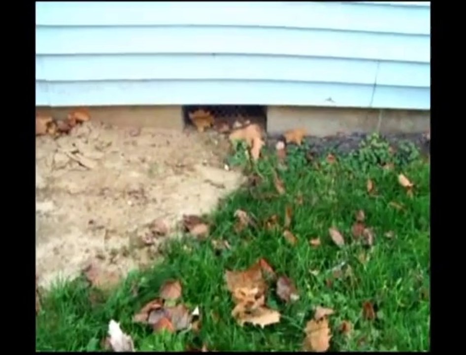 Louisville Home Inspectors | Certainty Home Inspections