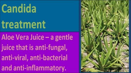 Please See how to cure candida infection - Watch video now!