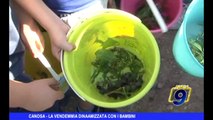 CANOSA DI PUGLIA | La vendemmia dinamizzata con i bambini