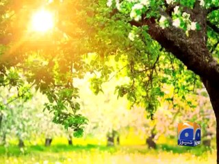 Baba Fariduddin Gunj Shakar Urs begins-21 Oct 2014