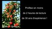 La taille des arbres fruitiers bénéficiez en moins de 2 h de 30 ans d'expérience !