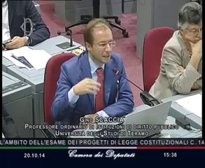 Roma - Audizione esperti e Comitati Dossetti (20.10.14)