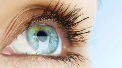 Vision Without Glasses Review