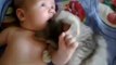 Cute cat loves baby - from funny and cute cats and babies collection - Video Dailymotion