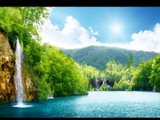 Abu Hurayra: grandissimo narratore di Hadith e amico dei gatti