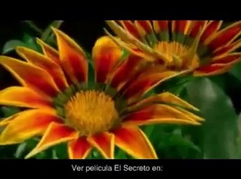 [Gana Dinero con la Pelicula afiliados elite] Afiliados Elite