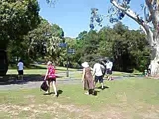 Royal botanic garden