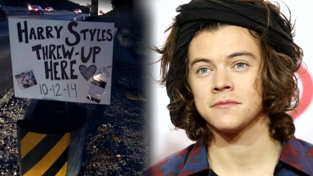 One Direction Fans Create Shrine to Harry Styles' Roadside Vomit