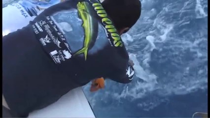 Los Cabos Billfish Tournament Final Recap