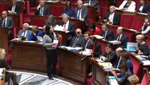 S. Pinel répond à une QAG de Y. Favennec au sujet des assises des ruralités