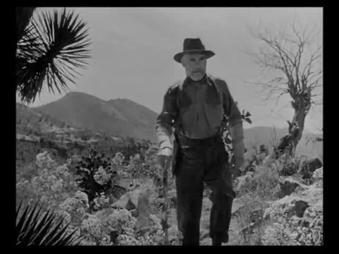 The Treasure of the Sierra Madre