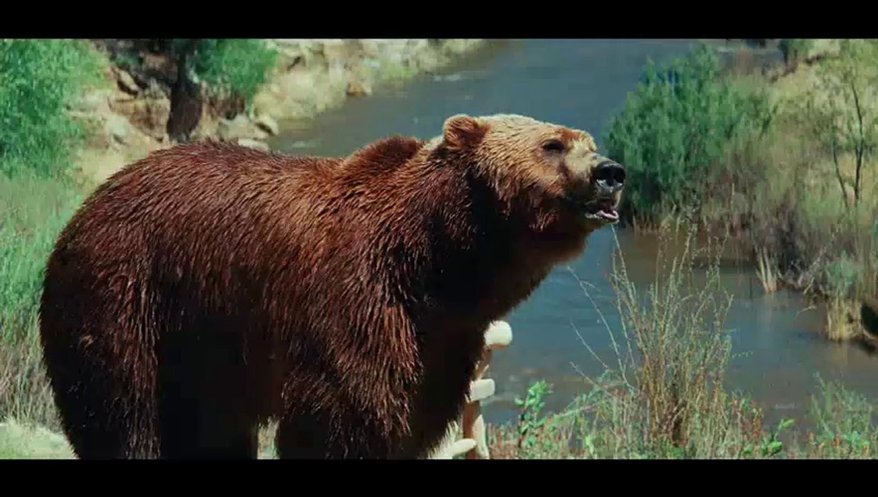 Did You Hear About the Morgans?