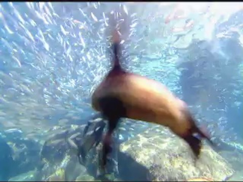 OceanWorld 3D