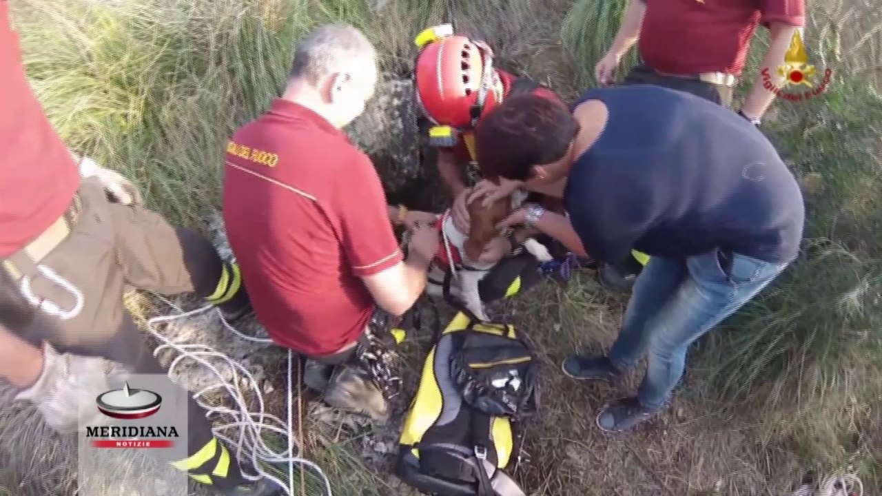Cade con il cane in un pozzo a Monte Argentario, recupero spettacolare dei Vigili del Fuoco