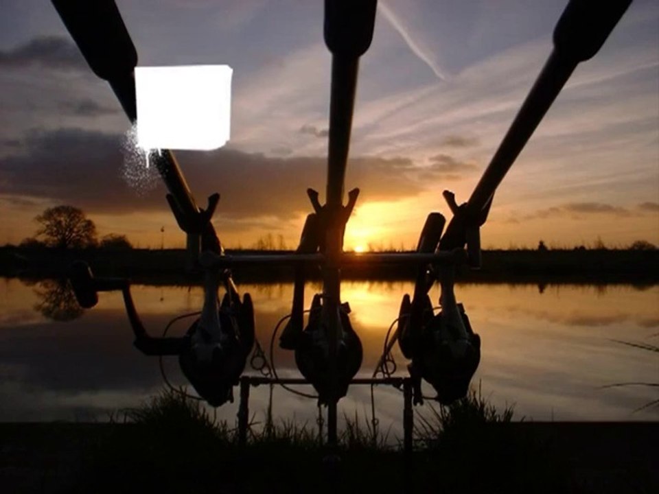 carp fishing