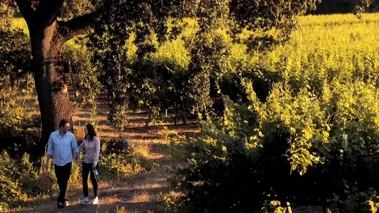The Five-Year Engagement: Trailer HD