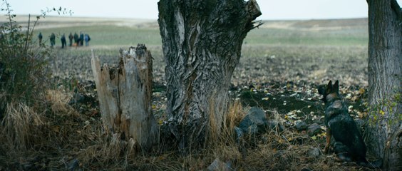 Once upon a time in Anatolia: Trailer HD VO st fr