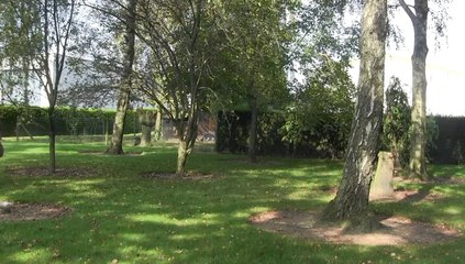 tardis first proper flight