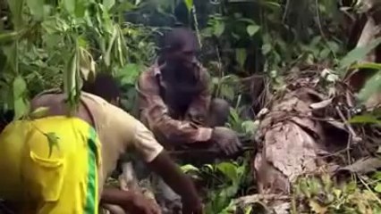 Un billet de train pour le Cameroun