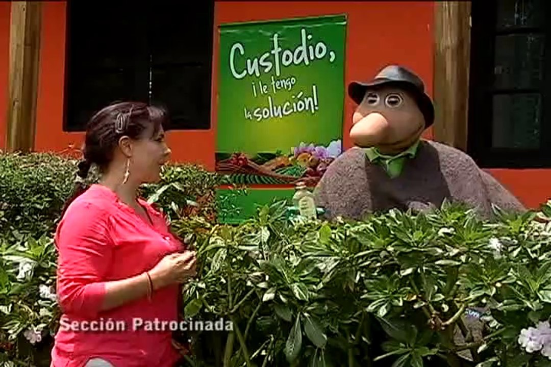 11 de octubre de 2014 Facatativa