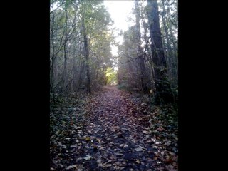 Therapy Suicide pact you first shadow's song.