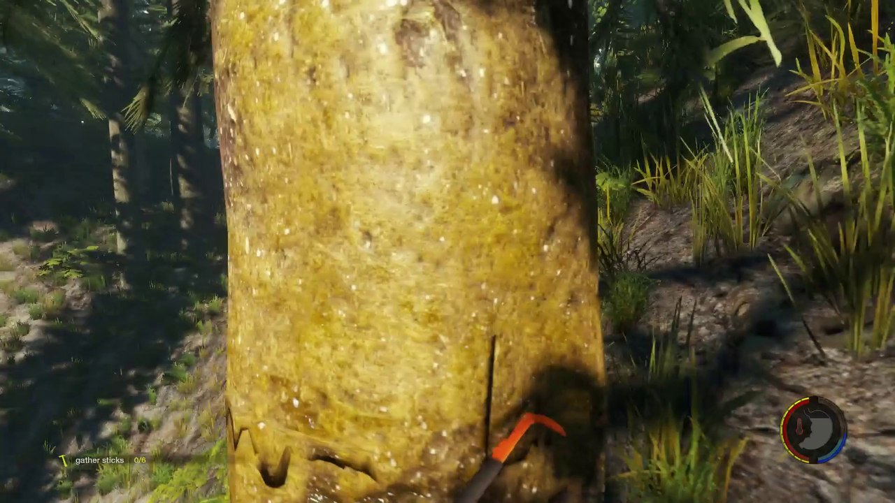 The Forest   #2 1er contact