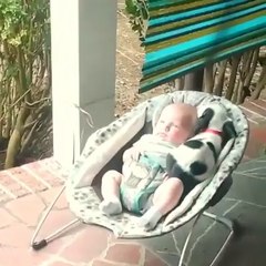 Baby Dog Wants To Take a Nap With His Baby Owner... Too Cute.
