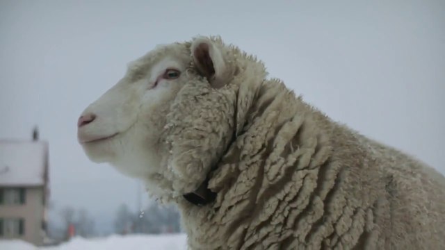 Bande-annonce : Hiver nomade - VF