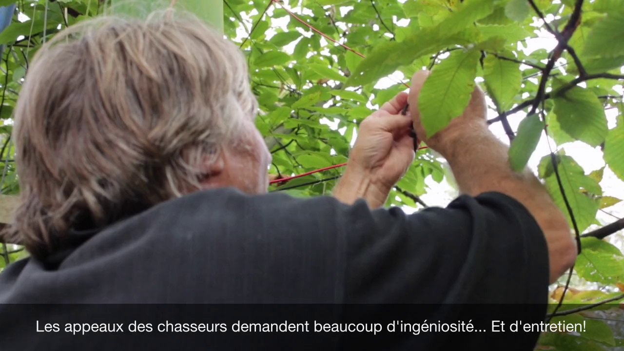 Dans les traces des chasseurs de palombes