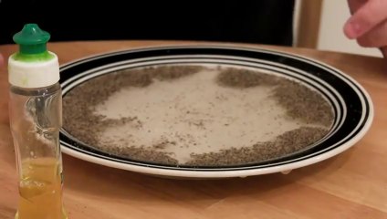 Magic Tricks Revealed_ Pepper and Water