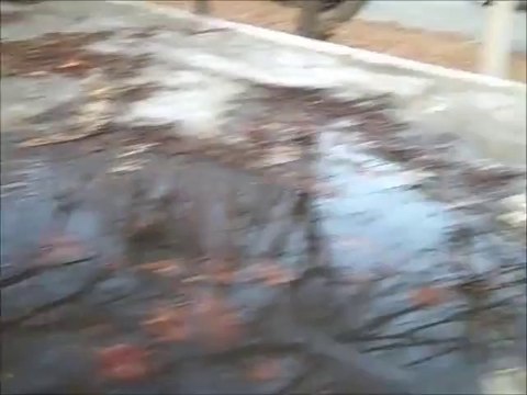 Dallas Home Inspector | Home Inspection Solutions