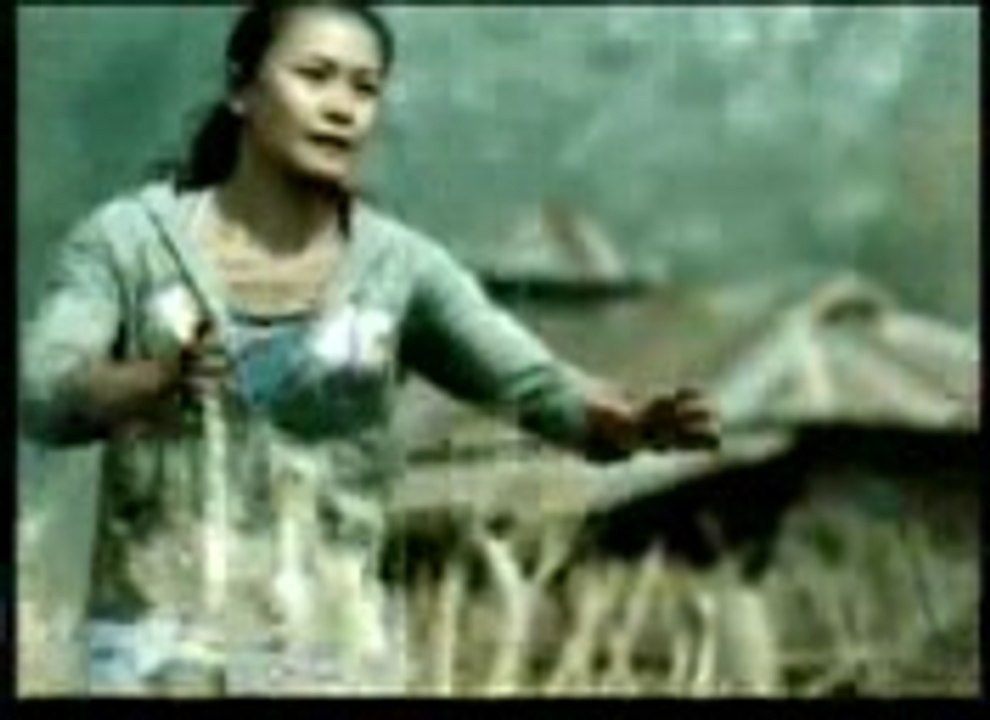 BRAON 2 FIGHT