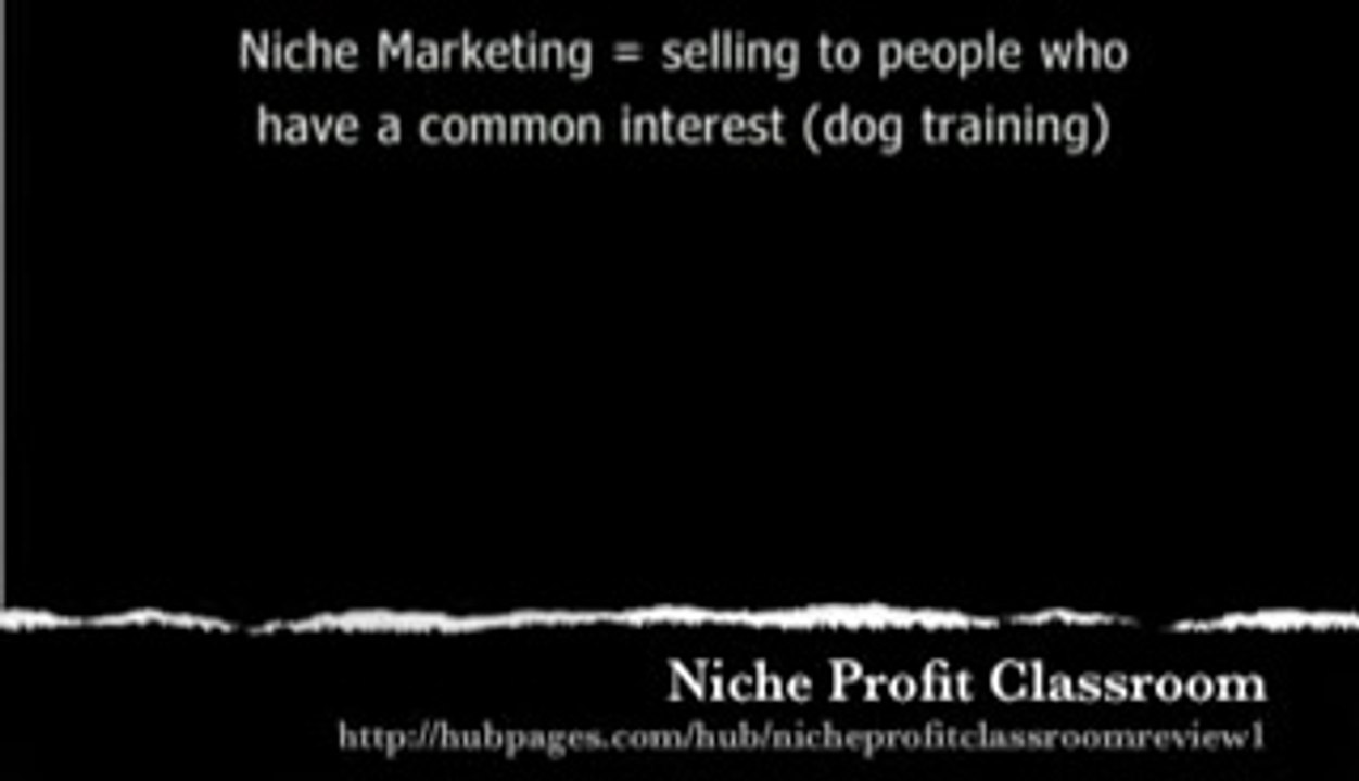 Niche Profit Classroom Review Video