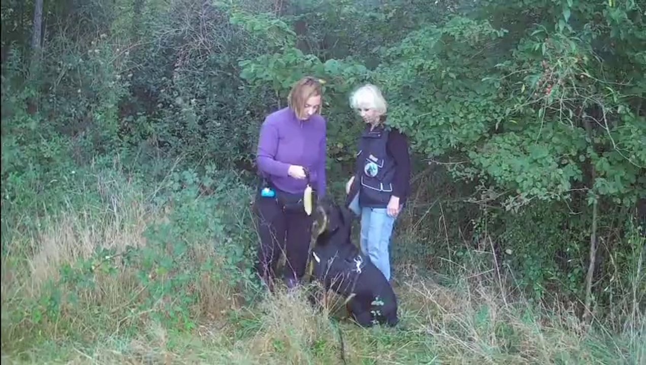 TRAVAIL DES OBJETS  avec un beauceron
