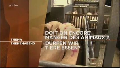 Doit-On Encore Manger Des Animaux ? - Partie 3 - Débat