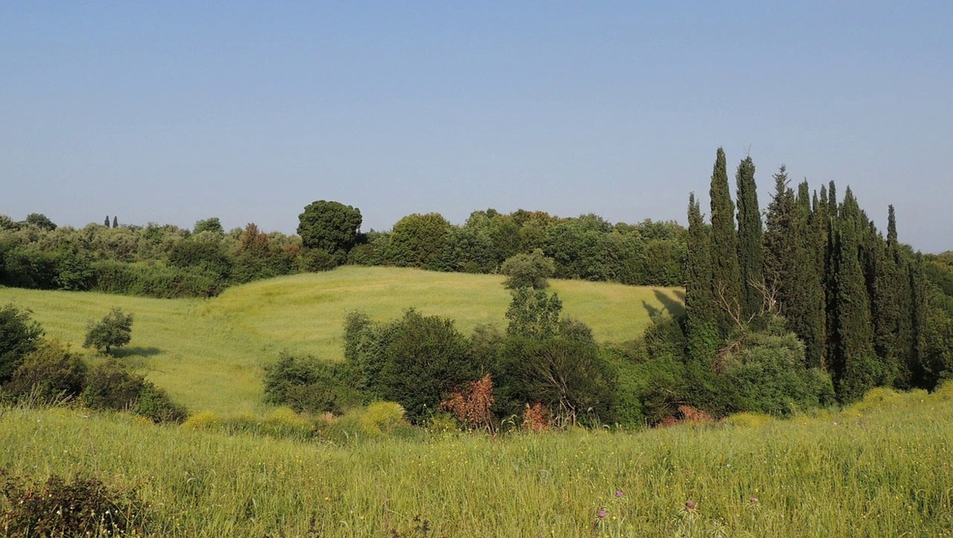 ⁣Nature Sounds | Greece Countryside