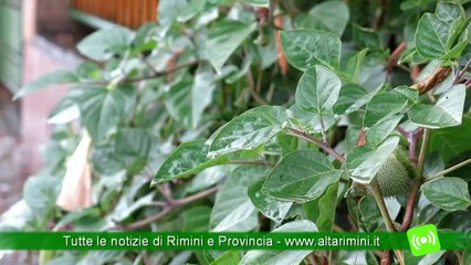 Meteo: finisce l'estate autunnale, ma non arriva l'uragano Gonzalo