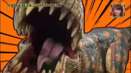 Japanese Hidden Camera | Live Pak News