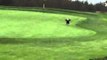 Eagle on Golf Course Steals Ball