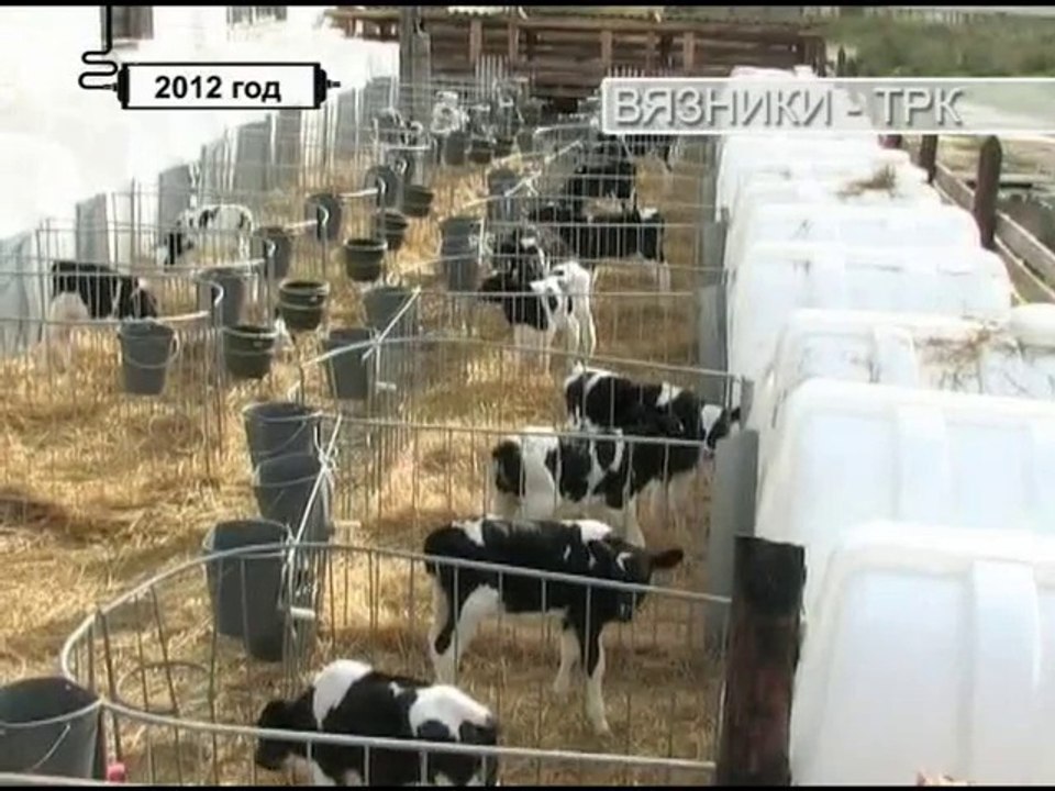 "10 лет в эфире. День за днем". Передача от 21.10.2014