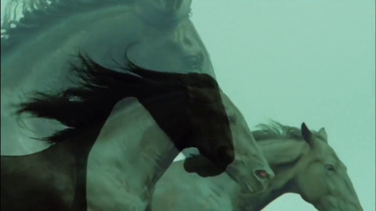 Awesomest Horses
