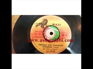 Aşık Gülabi  & Mecnun Gibi