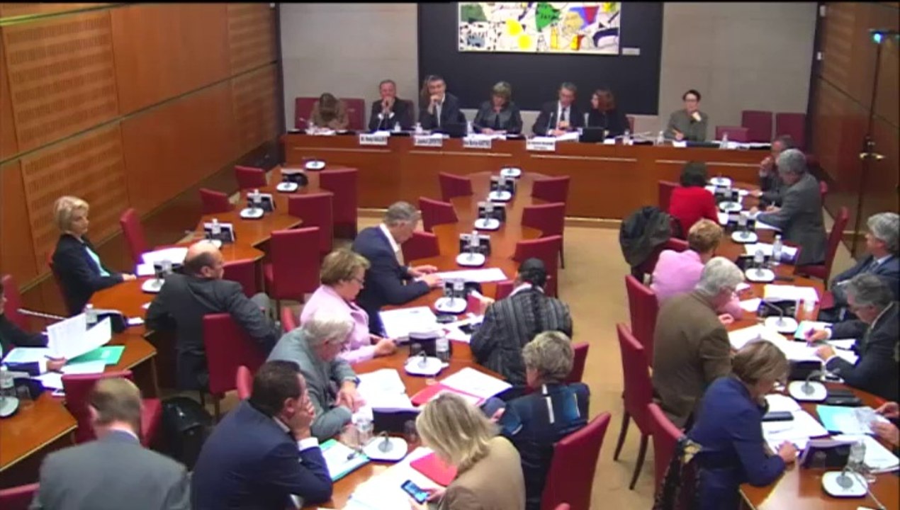 Mon intervention ce matin en commission des affaires culturelles relative au Budget 2015 : Audiovisuel ; Presse ; Livre et industries culturelles!