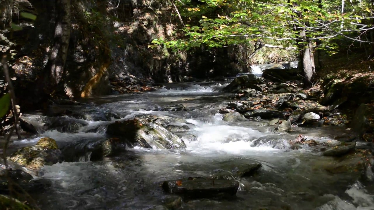 ~~ Parc National des Cévennes ~~
