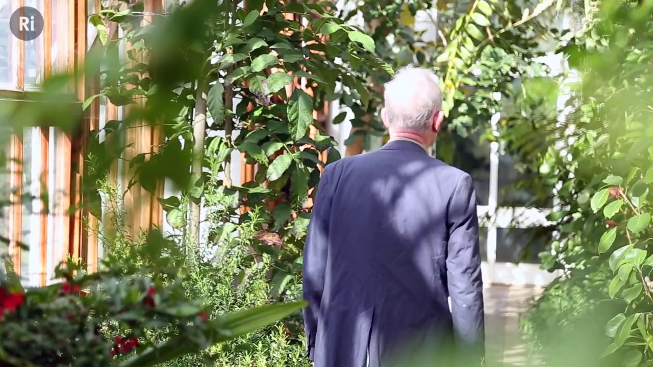 The Magic of Consciousness