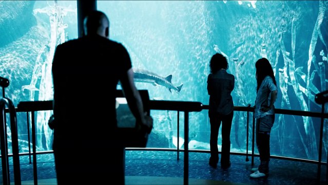 Vic + Flo ont vu un Ours avec Romane Bohringer, Marc-André Grondin, Pierrette Robitaille