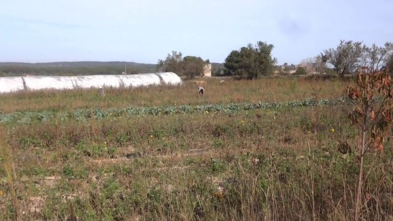 Bilan de la saison 2014 de Matthieu