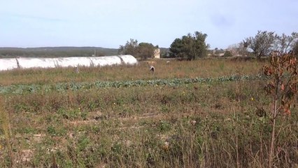 Bilan de la saison 2014 de Matthieu